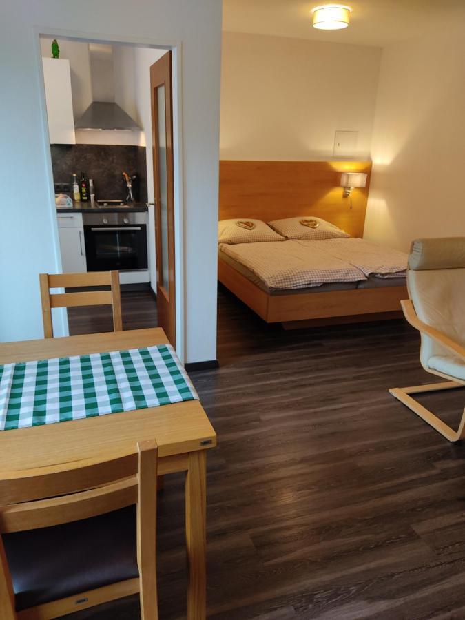 Apartment Reichenhall Bad Reichenhall Extérieur photo